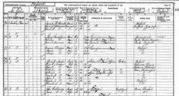 1901 Census for 7 Tackley Place, Oxford.