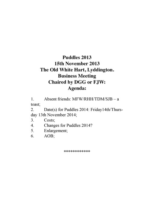 Puddles.2013.agenda.card4